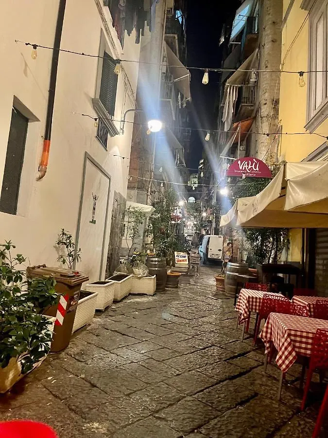 House Toledo Apartment Naples