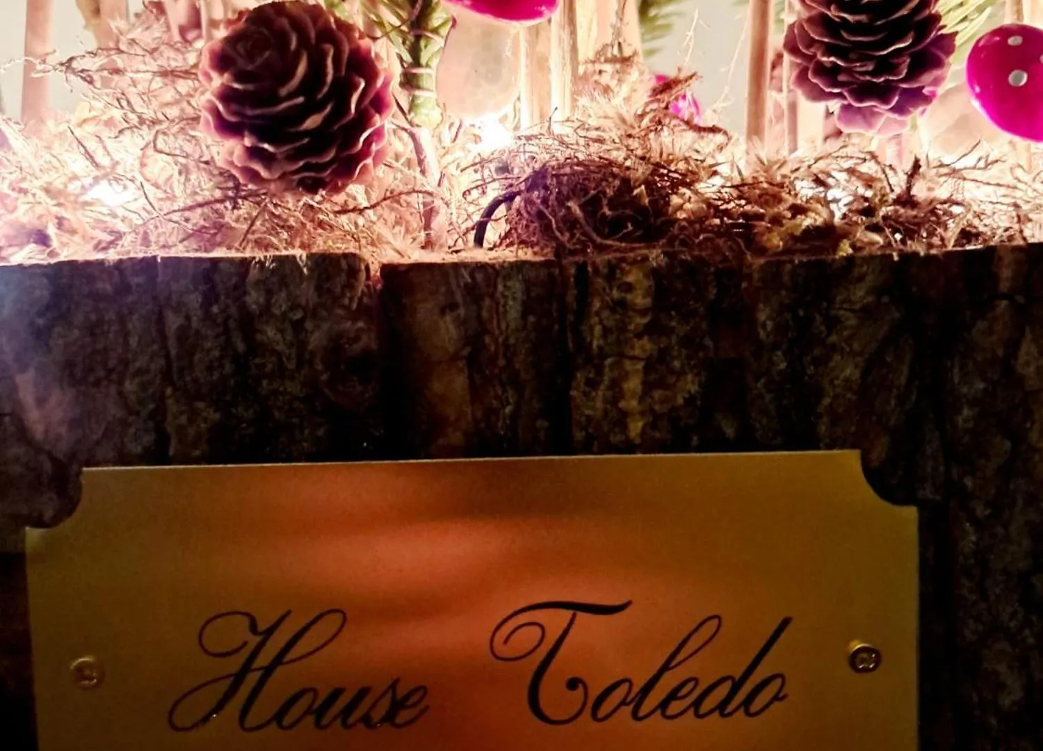 House Toledo Apartment Naples 0*,